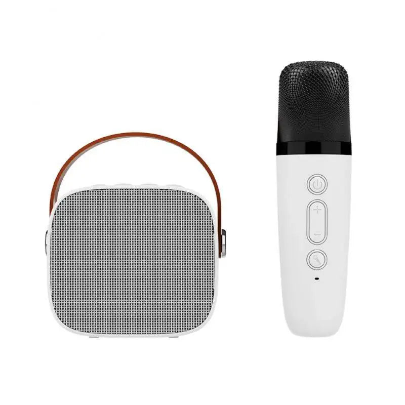 Mini caixa de som Karaokê alto-falante portátil com 1-2 microfone sem fio