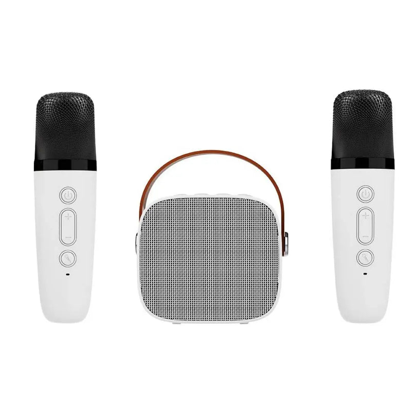 Mini caixa de som Karaokê alto-falante portátil com 1-2 microfone sem fio